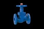 ksb-globe-valve