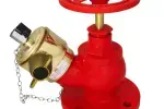 Landing Valve