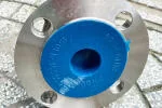 mat-bich-inox-dn65