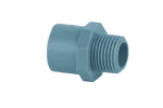 Ren 48