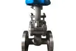 ss-304-gate-valve