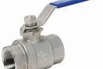 Stainless steel valves