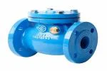 Valve một chiều lá lật