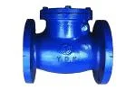 Van 1 chiều lá lật dn100