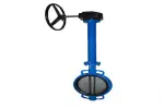 Van bướm cổ dài