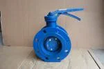 Van bướm tay gạt mặt bích
