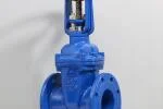 Van Cổng DN50 Shinyi