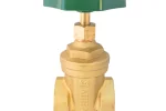 van-cua-dong-miha-2