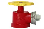Van góc chữa cháy DN65
