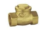 van-mot-chieu-phi-27