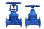 vm-1
