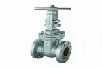Wedge gate valve