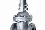 weight-gate-valve