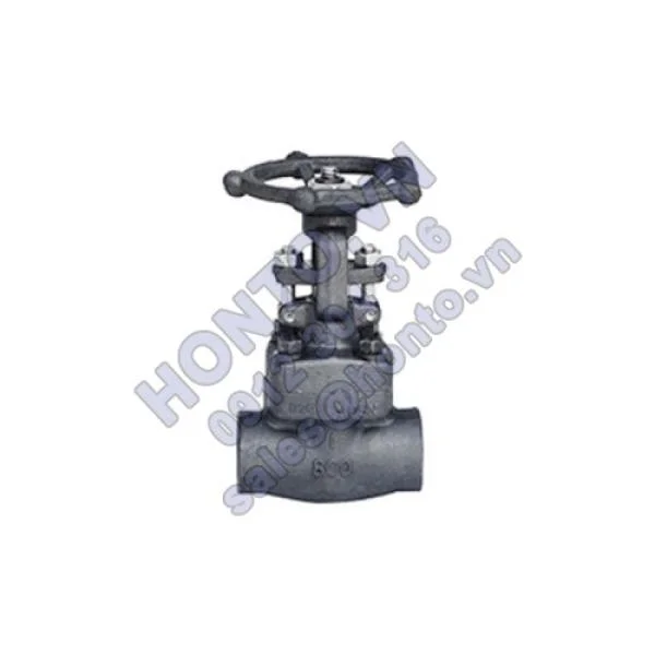 van-cong-thep-ren-han-long-socket-z61y-z61h-500x500_0