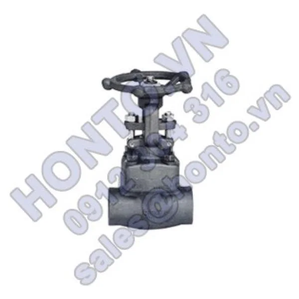 van-cong-thep-ren-han-long-socket-z61y-z61h-600x315_0