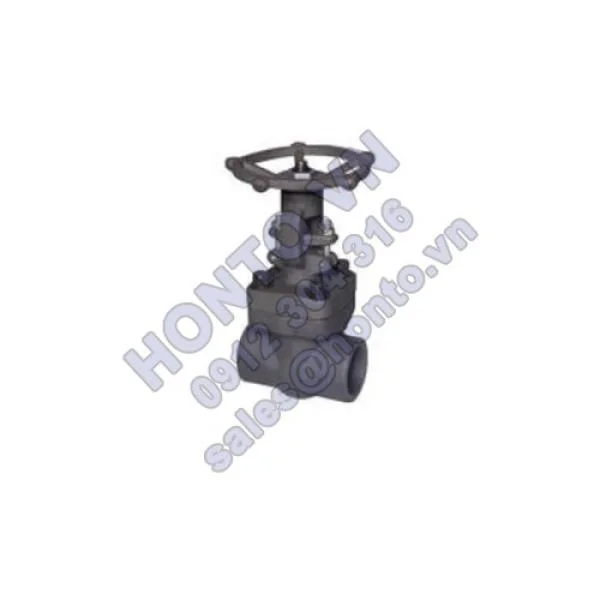 van-cong-socket-weld-500x500_0