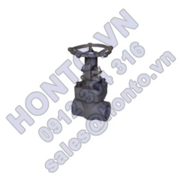 van-cong-socket-weld-600x315_0