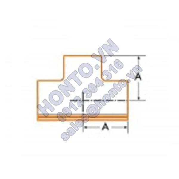 Te-deu-inox-vi-sinh-sms-500x500_0
