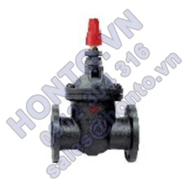 Van-cong-ty-chim-chon-ngam-NF-1-600x315_0