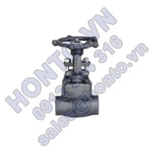 van-cong-thep-ren-han-long-socket-z61y-z61h-600x315_0