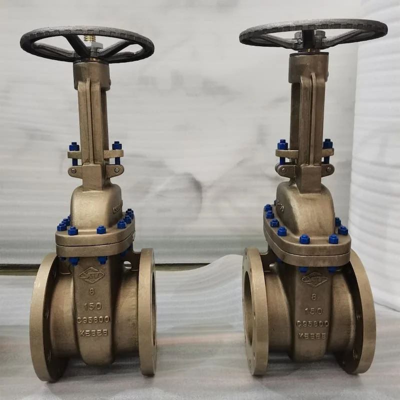 Hình ảnh minh họa (1)