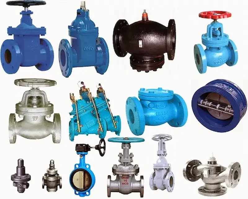 Hình ảnh minh họa (2)