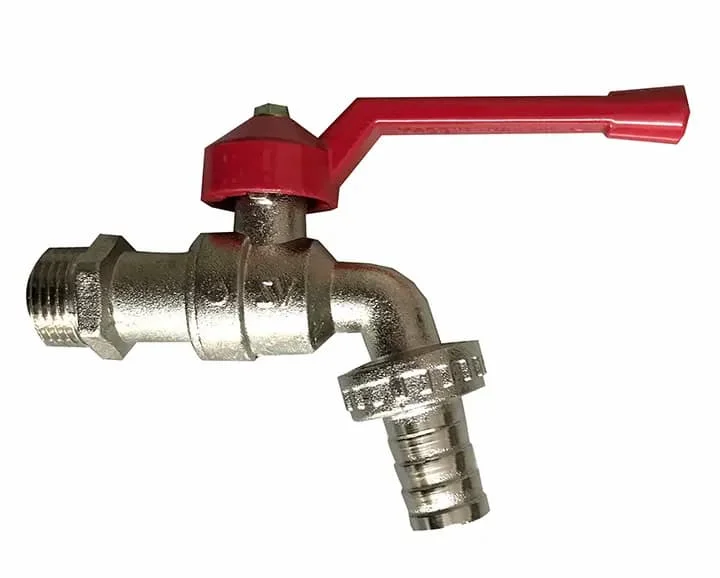 Hình ảnh minh họa (2)