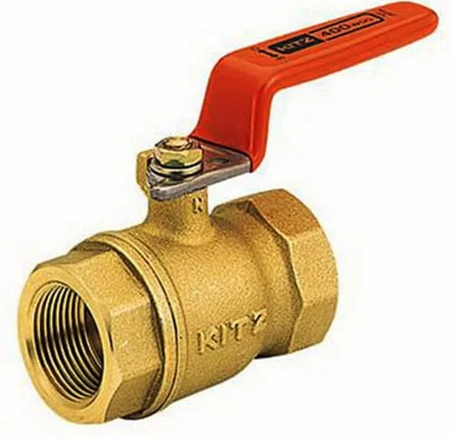 Hình ảnh minh họa (1)