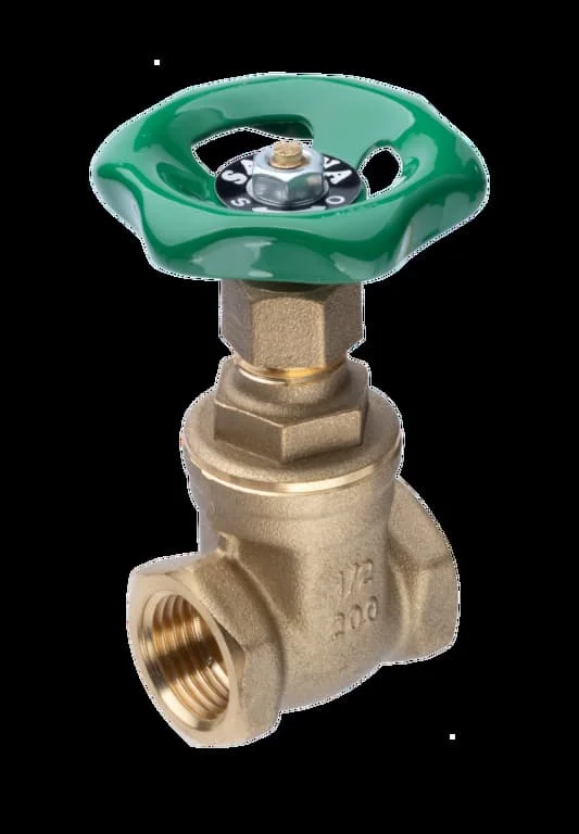 Hình ảnh minh họa (2)