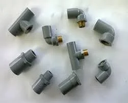 Hình ảnh minh họa (2)