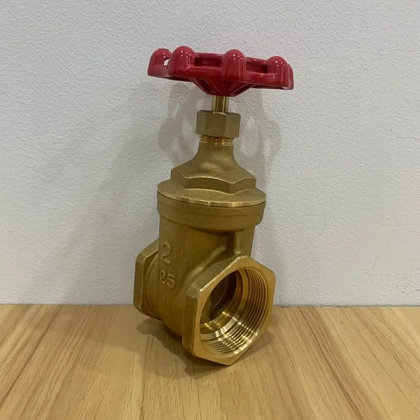 Hình ảnh minh họa (2)