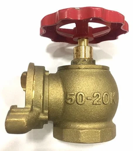 Hình ảnh minh họa (1)