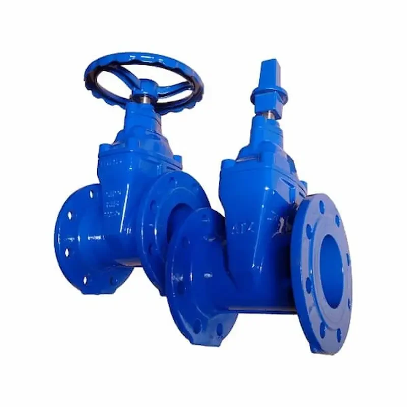 Hình ảnh minh họa (2)