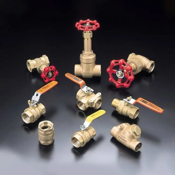 Hình ảnh minh họa (2)