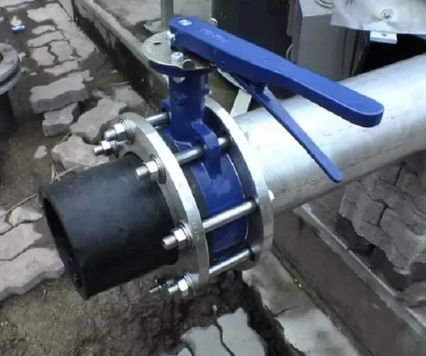 Hình ảnh minh họa (1)