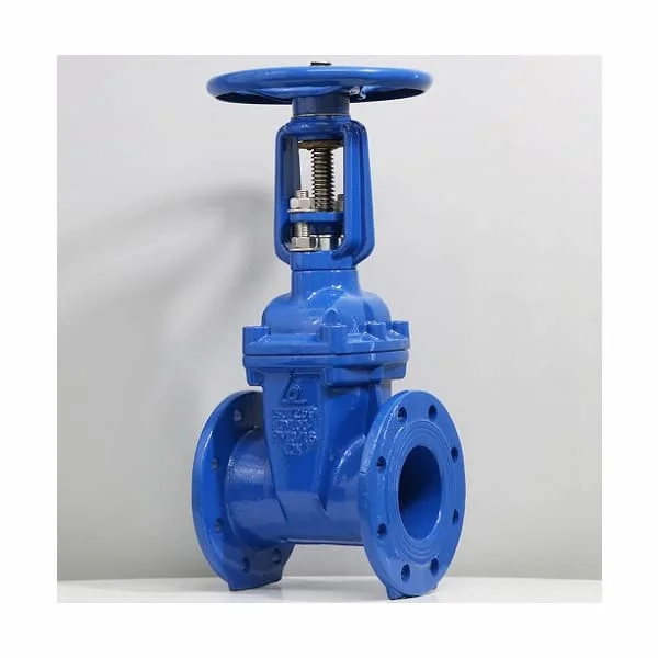 Hình ảnh minh họa (2)