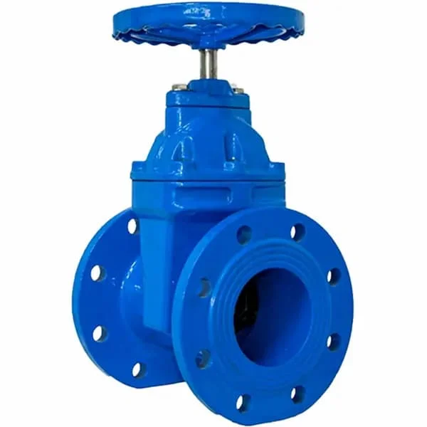 Hình ảnh minh họa (1)