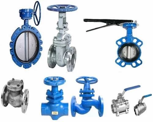 Hình ảnh minh họa (1)