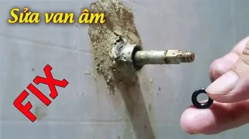 Hình ảnh minh họa (1)