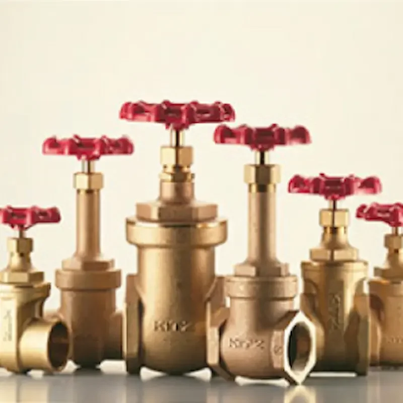 Hình ảnh minh họa (1)