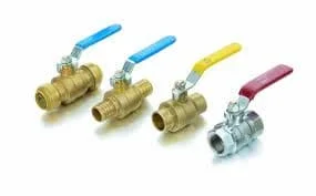 Hình ảnh minh họa (1)