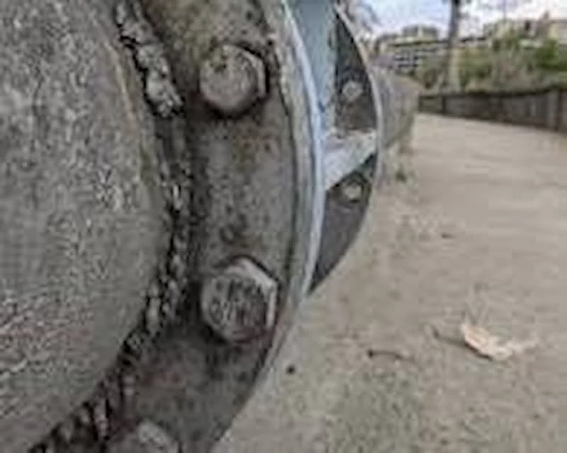 Hình ảnh minh họa (2)