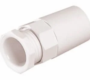 Hình ảnh minh họa (2)