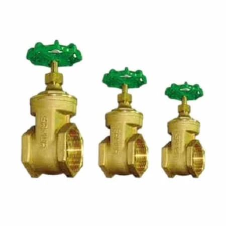 Hình ảnh minh họa (2)