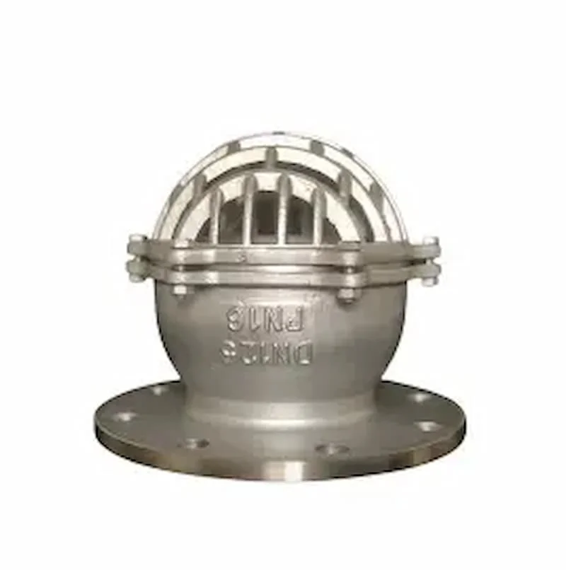 Hình ảnh minh họa (1)