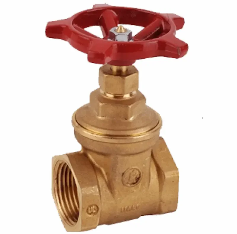 Hình ảnh minh họa (2)