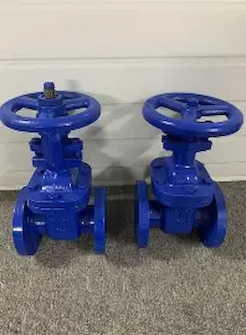 Hình ảnh minh họa (3)