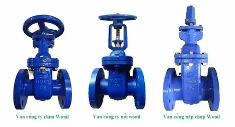 Hình ảnh minh họa (1)