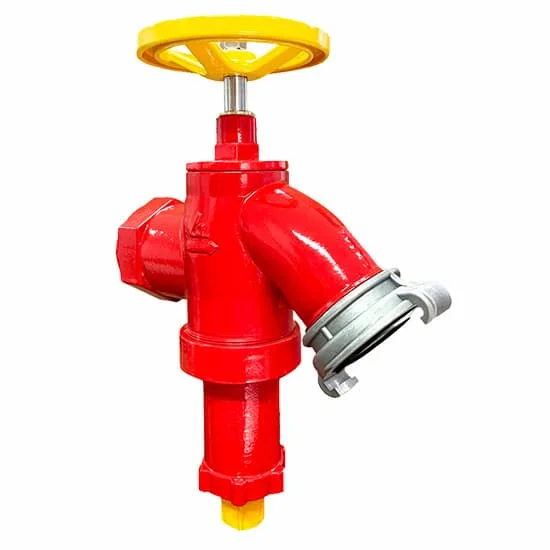 Hình ảnh minh họa (1)