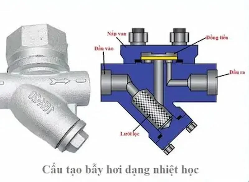 Hình ảnh minh họa (1)